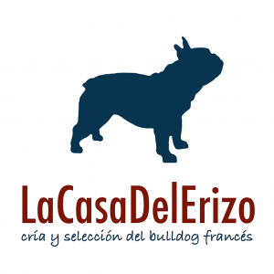 casa_del_erizo_bulldogs