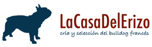 Erizo Bulldogs: Cría y Selección de Bulldog Francés - la Casa del Erizo