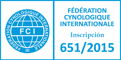 Fédération Cynologique Internationale