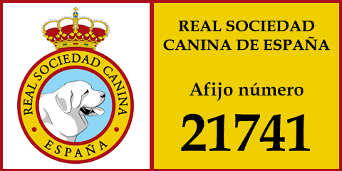 Real Sociedad Canina de España